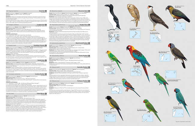 Illustrated Checklist of the Birds of the World - ESPÈCIES EXTINGIDES