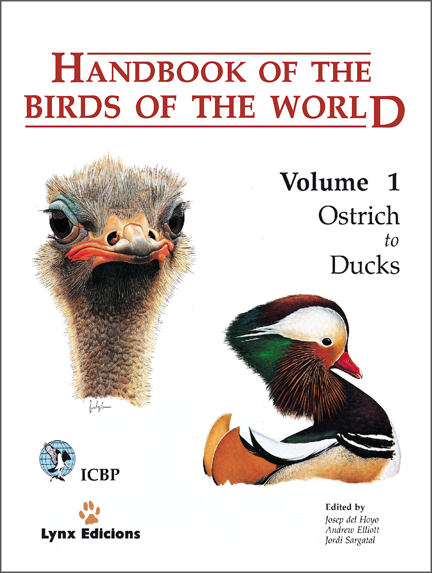family jacanaidae handbook of the birds of the world