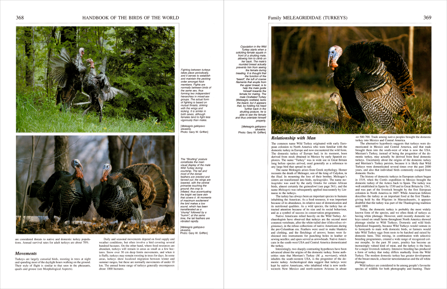 Handbook of the Birds of the World Volume 2 New World Vultures to Guineafowl | Lynx Nature Books