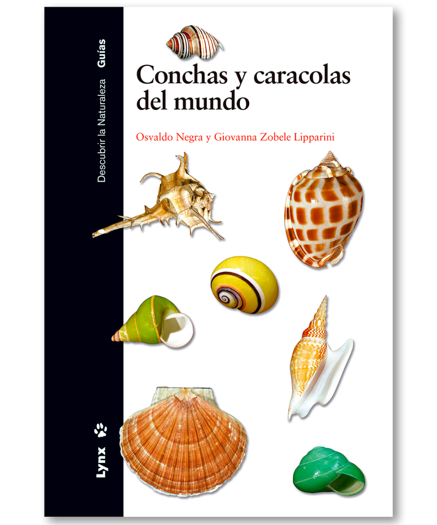 Conchas y caracolas del mundo | Lynx Nature Books