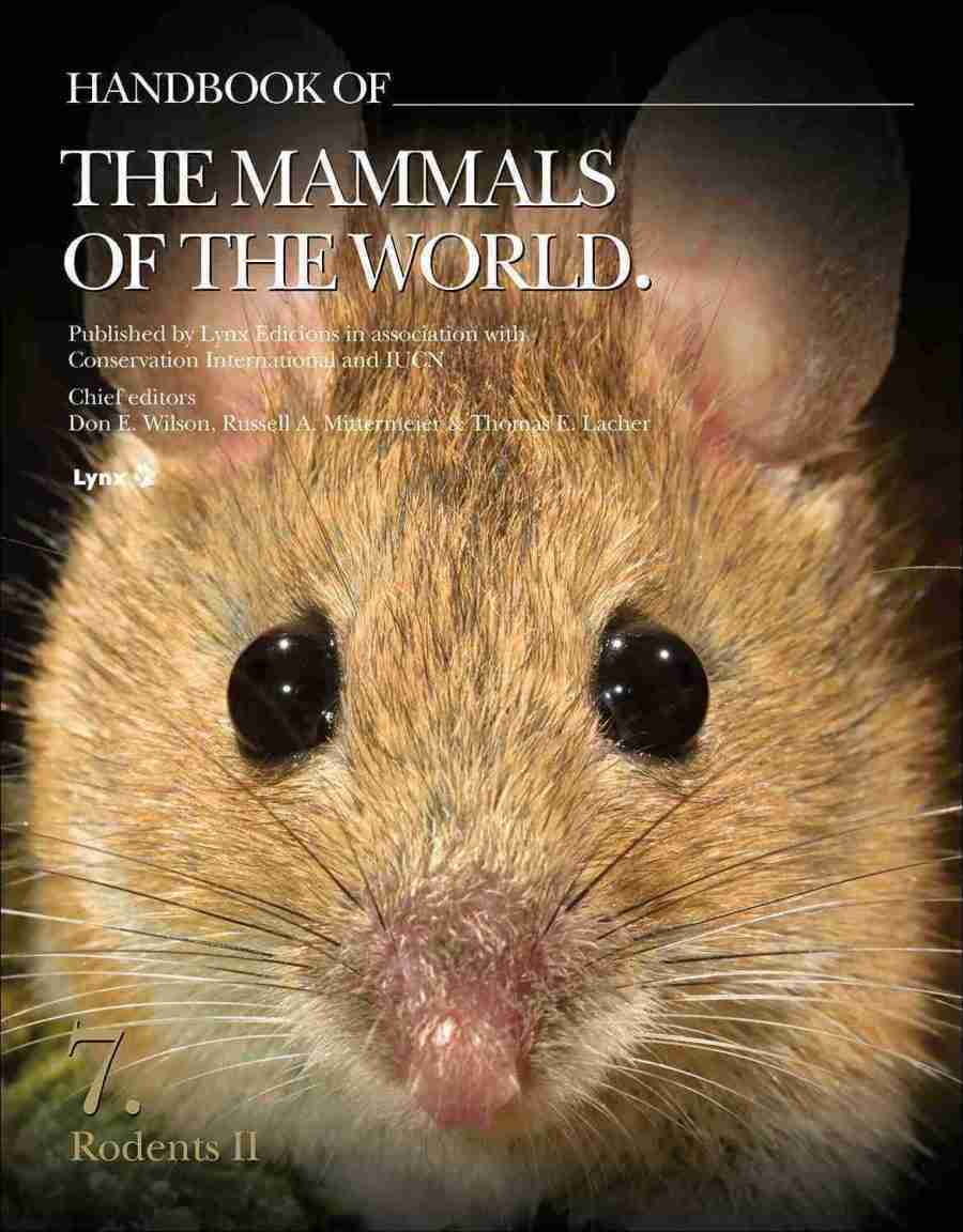 Cover of Handbook of the Mammals of the World Volume 7 Rodents II