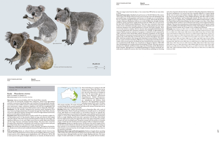 Handbook Of The Mammals Of The World Volume 5 Lynx Nature Books