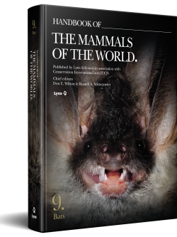 3D cover of Handbook of the Mammals of the World Volume 8 Insectivores, Sloths and Colugos