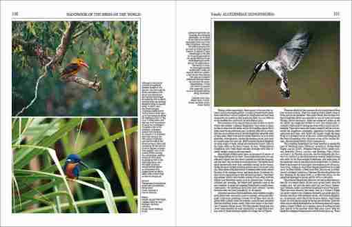 Handbook of the Birds of the World – Volume 6 – Lynx Nature Books