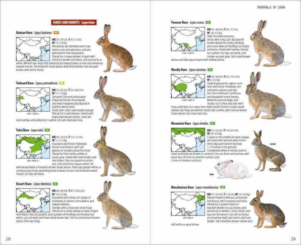 Mammals of China - Lynx Nature Books