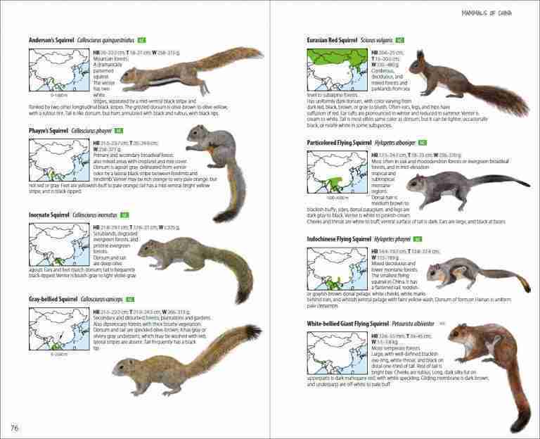 Mammals of China - Lynx Nature Books