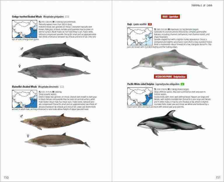 Mammals of China - Lynx Nature Books