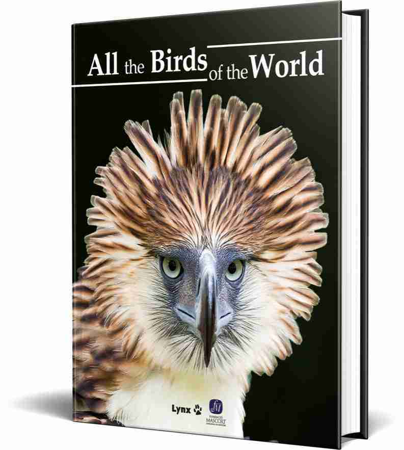 All the Birds of the World – Lynx Edicions