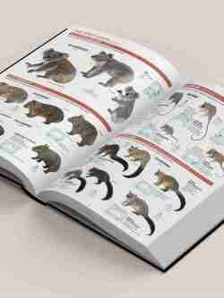 All the Mammals of the World - Lynx Nature Books