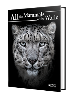 All the Mammals of the World | Lynx Nature Books