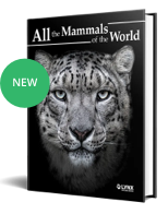 all the mammals of the world