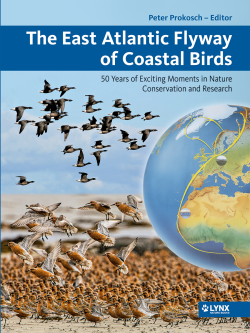 The East Atlantic Flyway of Coastal Birds: 50 Years of Exciting Moments in Nature Conservation and Research | Lynx Nature Books