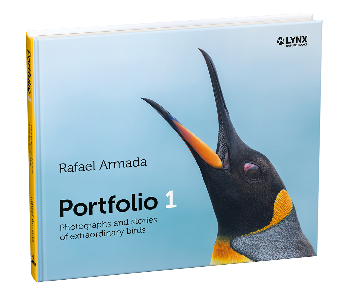 Portfolio 1 Photographs and stories of extraordinary birds | Rafael Armada | Lynx Nature Books