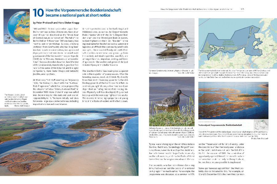 The East Atlantic Flyway of Coastal Birds | Peter Prokosch | Lynx Nature Books