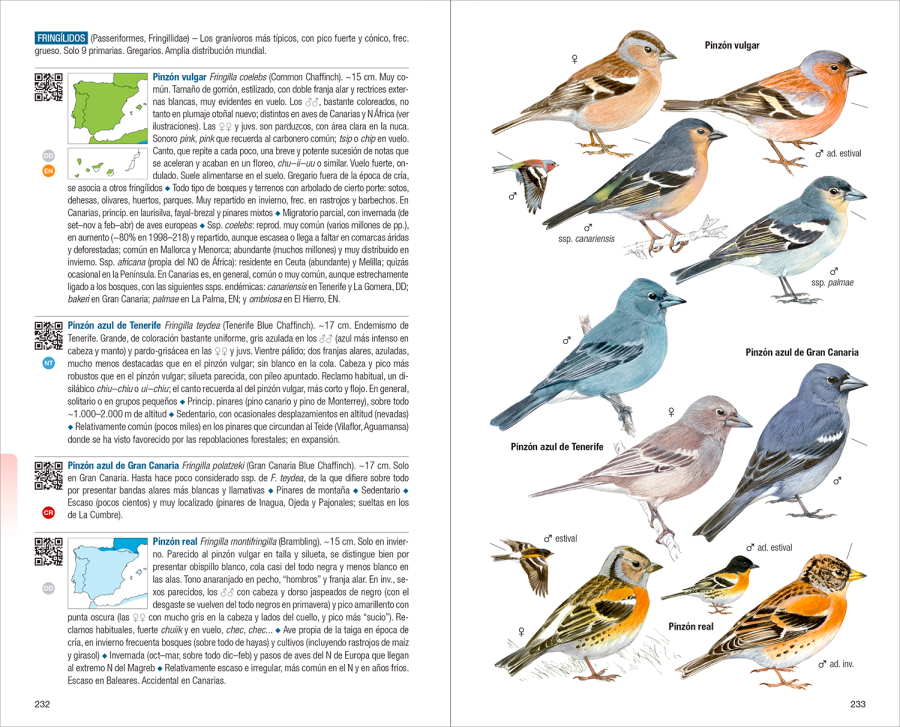 Aves de España | nueva edición | Eduardo de Juana y Juan Varela | Lynx Nature Books