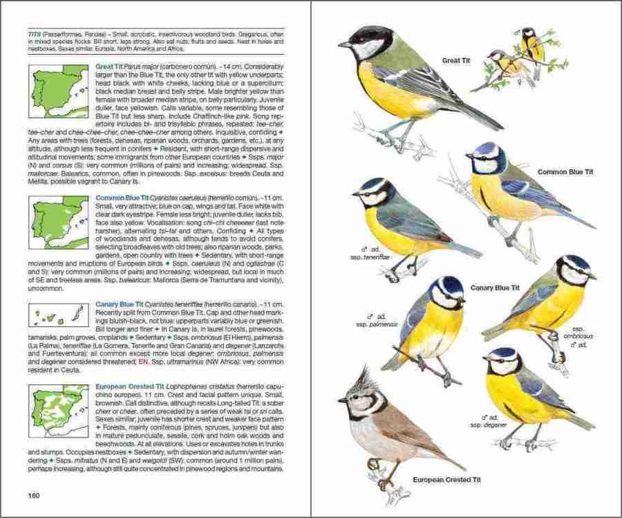 Birds of Spain sample page