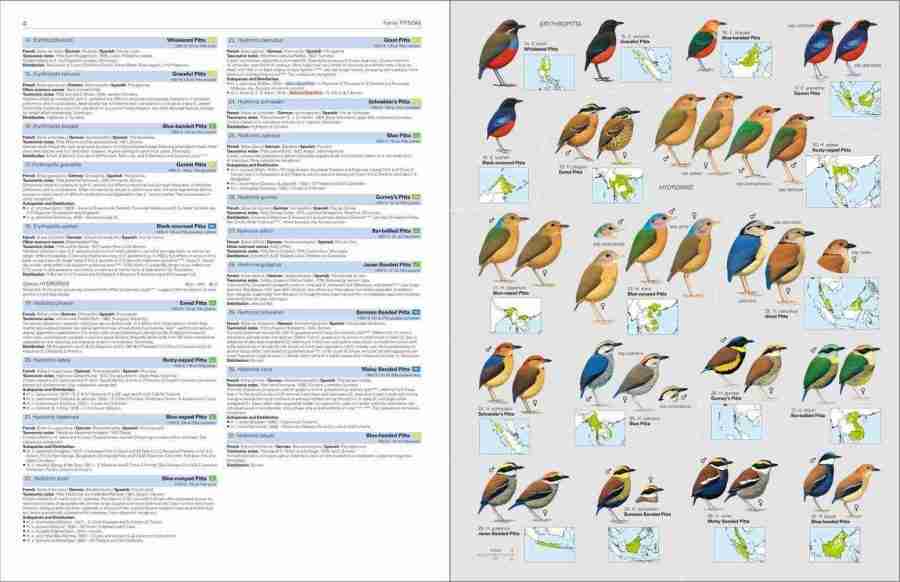 HBW and BirdLife International Illustrated Checklist of the Birds of the World. Volume 2 sample page