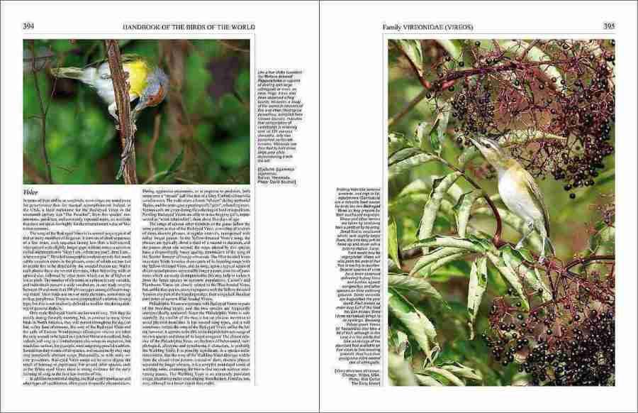 Handbook of the Birds of the World - Volume 15 sample page