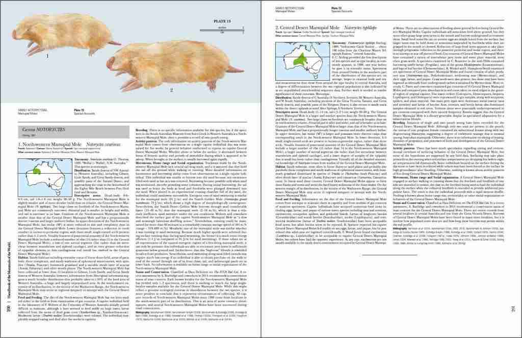 Handbook Of The Mammals Of The World Volume 5 Lynx Edicions