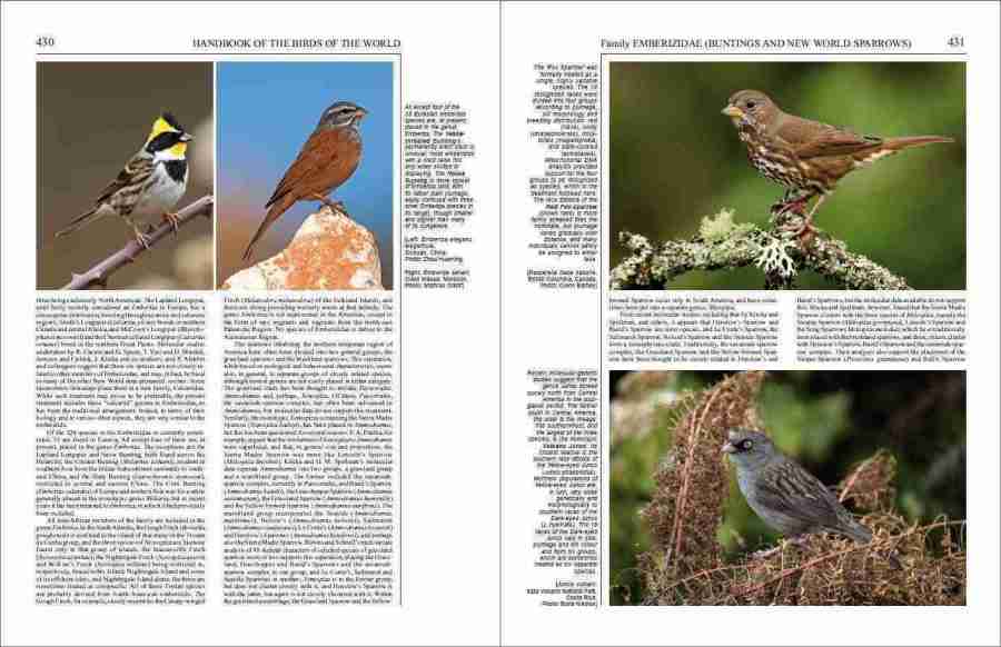 Handbook of the Birds of the World - Volume 16 sample page